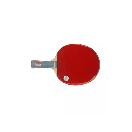Double fish Table Tennis racket 1D-C