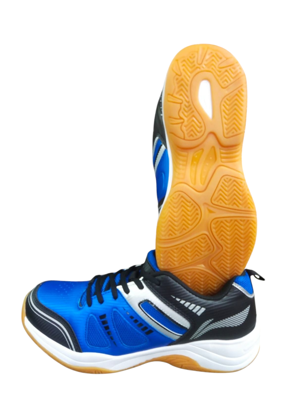badminton Li-Ning Shoe